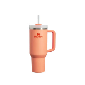 Stanley Mug - Nectarine